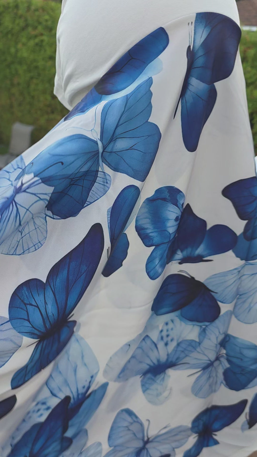 Blue Butterfly Premium